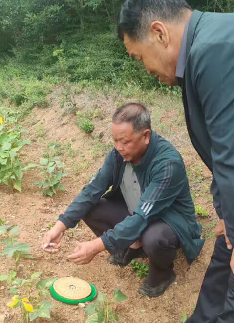 李天力（玄通）